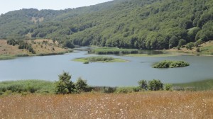 Banca del Germoplasma, progetto finanziato