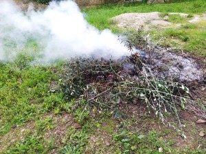 Bruciare gli sfalci, ora si può. Mozione consiliare