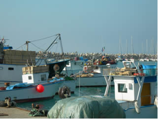 molo porto pesca