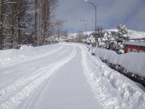 parco neve floresta