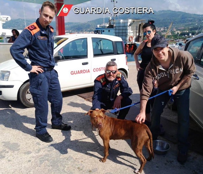 Pesca illegale di ricci. Due subaquei multati