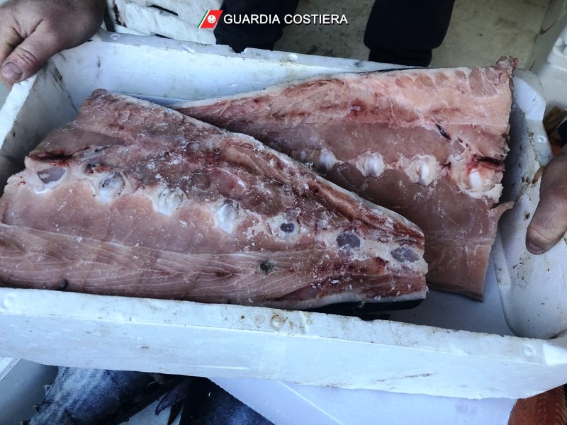 Operazione “Confine illegale”, multe e pesce sequestrato