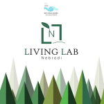 "Living Lab Nebrodi", domani al Castello Gallego la presentazione del progetto