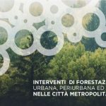Interventi di forestazione, nel piano della Città metropolitana anche San Marco d'Alunzio e Militello Rosmarino