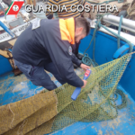 Guardia Costiera Sant’Agata Militello, contrasto alla pesca illegale. Sequestri e sanzioni per oltre 16 mila euro