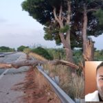 Cinque imputati a giudizio per la tragica morte di Francesco Maniaci sulla A20 maniaci a20